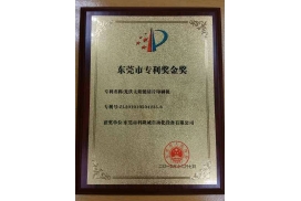 东莞市专利奖金